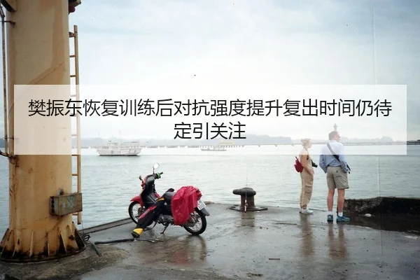 樊振东恢复训练后对抗强度提升复出时间仍待定引关注