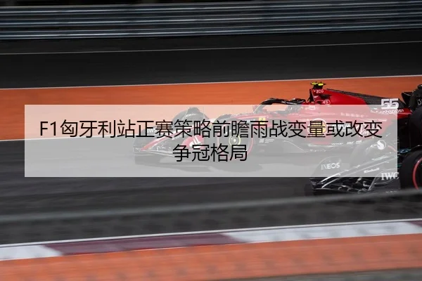 F1匈牙利站正赛策略前瞻雨战变量或改变争冠格局
